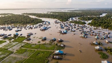 Aerial view of the expanded Tonle Sap Lake in Cambodia during the wet season, with flooded forests and stilted houses.