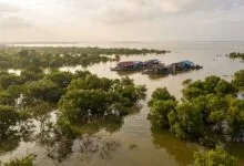 Aerial view of Tonlé Sap Lake in Cambodia during the wet season, with flooded forest tree canopies emerging from the water and a floating village visible in the distance