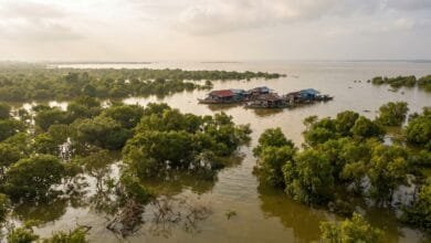 Aerial view of Tonlé Sap Lake in Cambodia during the wet season, with flooded forest tree canopies emerging from the water and a floating village visible in the distance