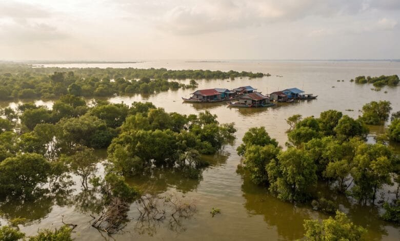 Aerial view of Tonlé Sap Lake in Cambodia during the wet season, with flooded forest tree canopies emerging from the water and a floating village visible in the distance